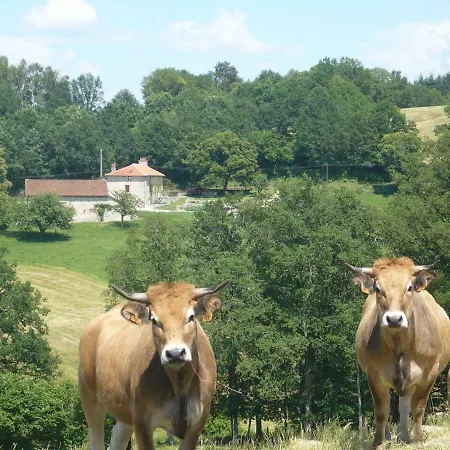 Lafontbasse